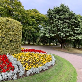 Duthie Park 