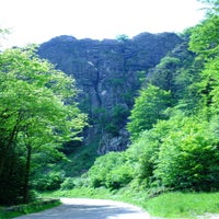 dscf2028-standard.jpg