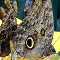 dscf2146-standard.jpg