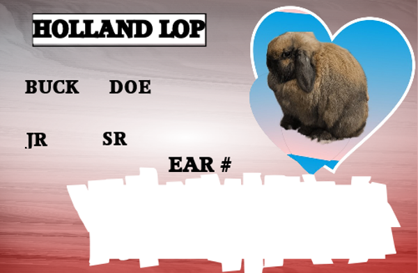 Carrier Tag Identification