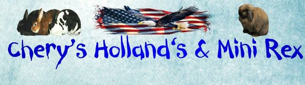 Carrier Full color decal 11 Inches