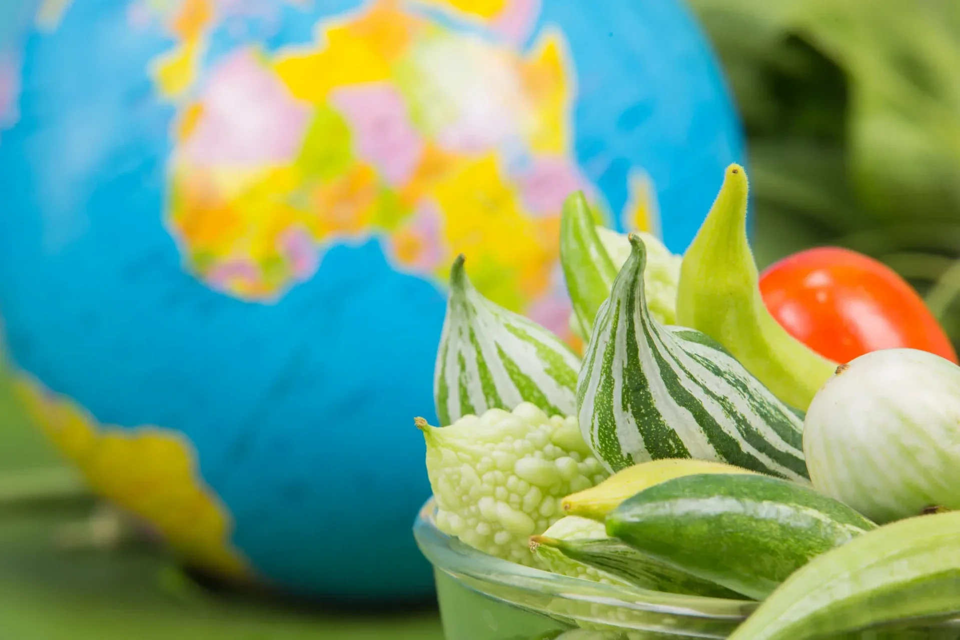 Food export regulations across African markets — compliance requirements varying by country from Nigeria's NAFDAC registration to Ghana's port clearance and Ivory Coast's French labelling mandate