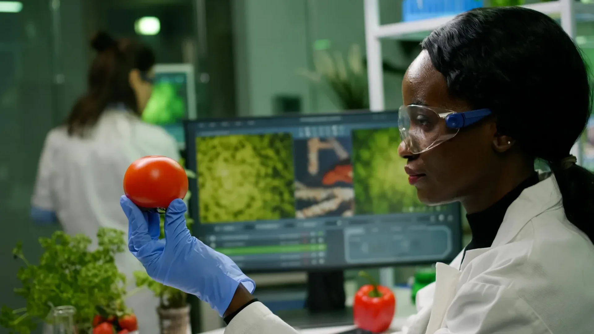 The future of food trade in Africa — long-term opportunities for global food exporters as urbanisation, population growth and rising incomes reshape African food import demand