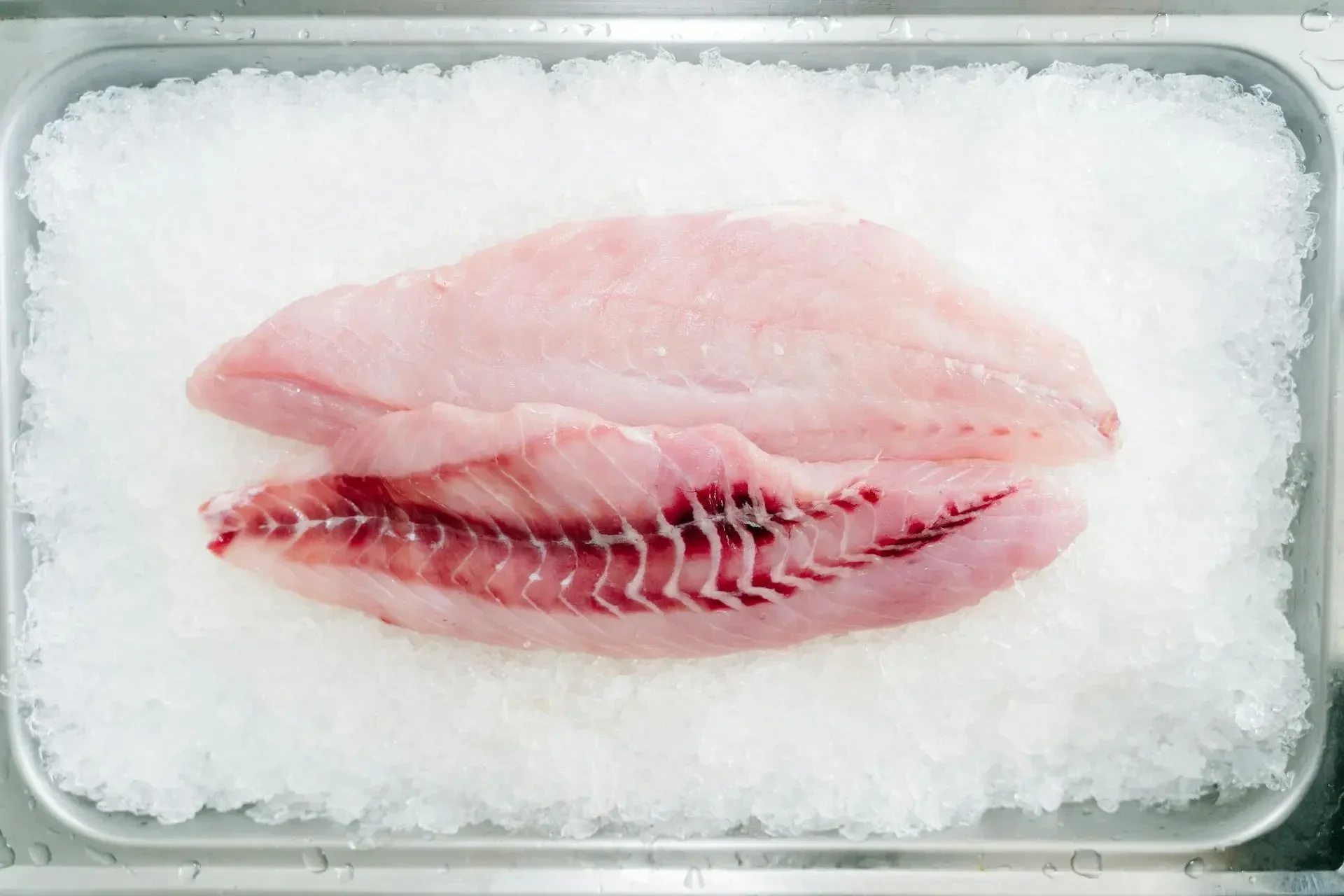 Frozen poultry and fish products requiring cold chain logistics for food export to Africa and the Middle East