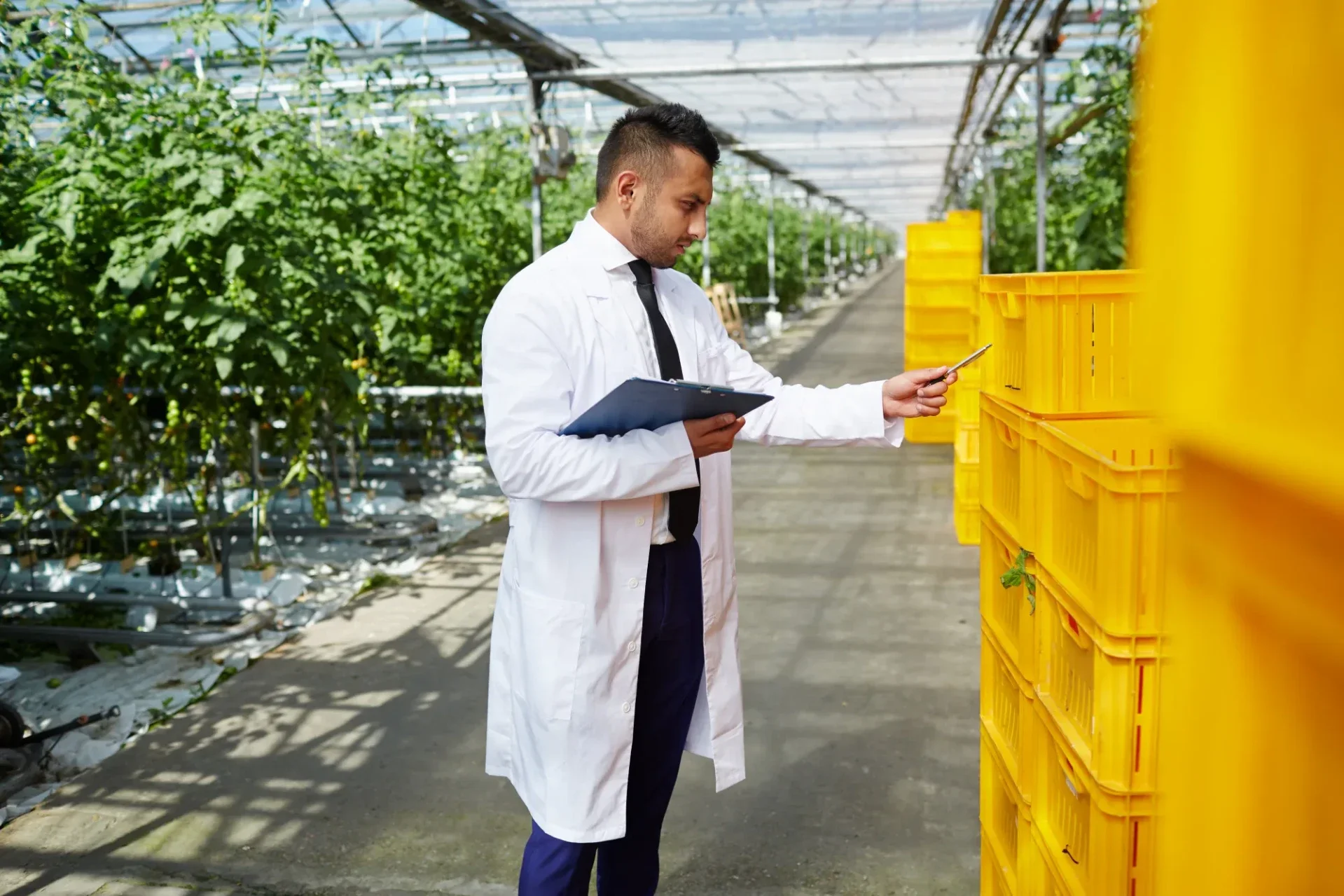 Food export compliance documentation — certificates of origin, health certificates and conformity documents for international food shipments