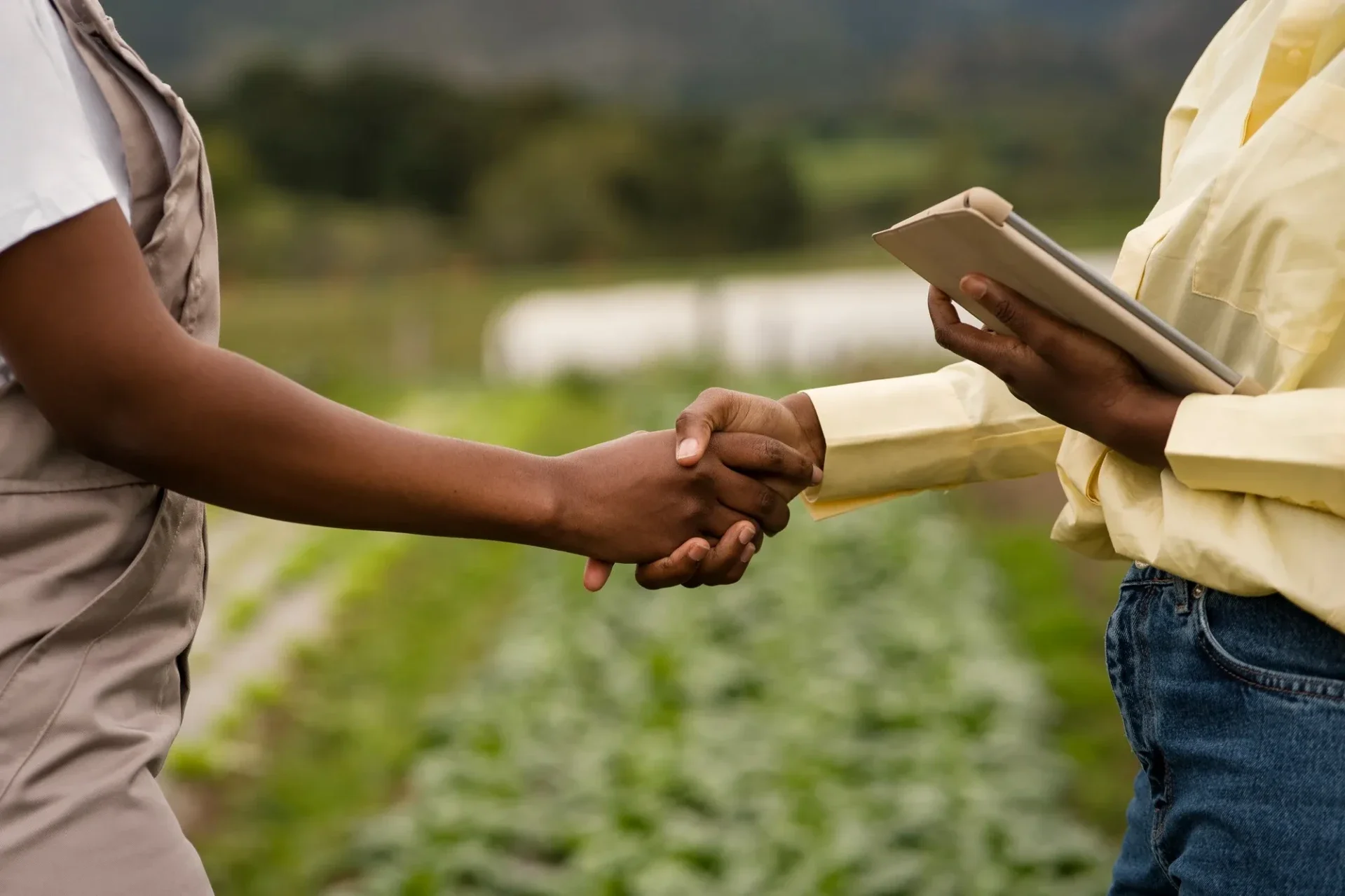 Building food trade partnerships in Africa — European exporters developing long-term relationships with buyers in West African markets