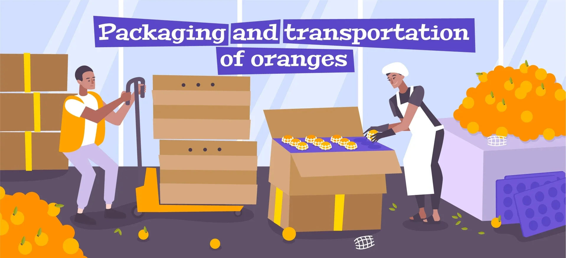 European food producer expanding into African markets — case study in food export market entry to Nigeria, Ghana and Senegal