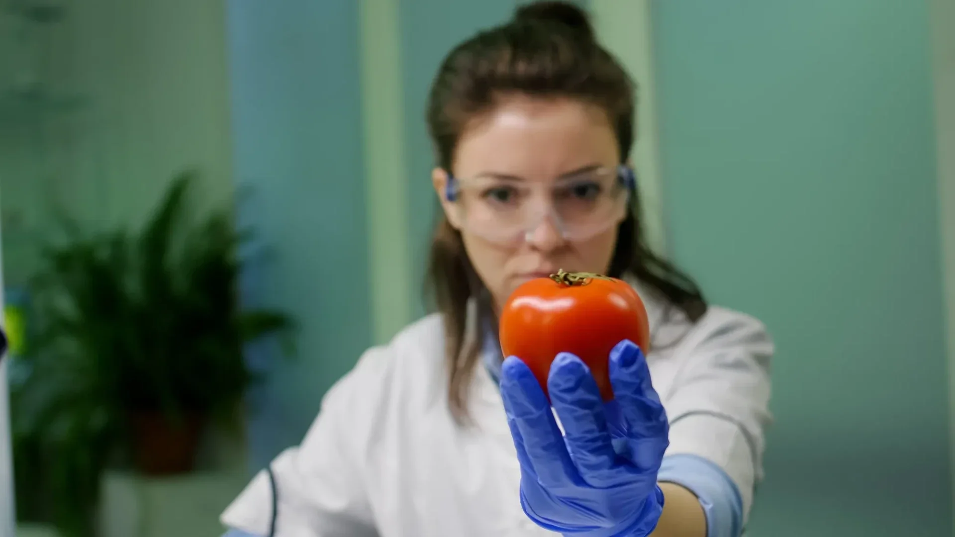 Quality control protecting food export brands — pre-shipment inspection and specification management keeping brand reputation consistent across international food markets
