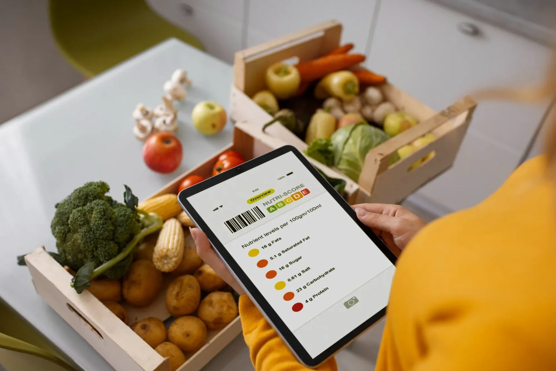 Sustainable food export supply chain — traceability documentation and eco-friendly packaging for international food trade to Africa
