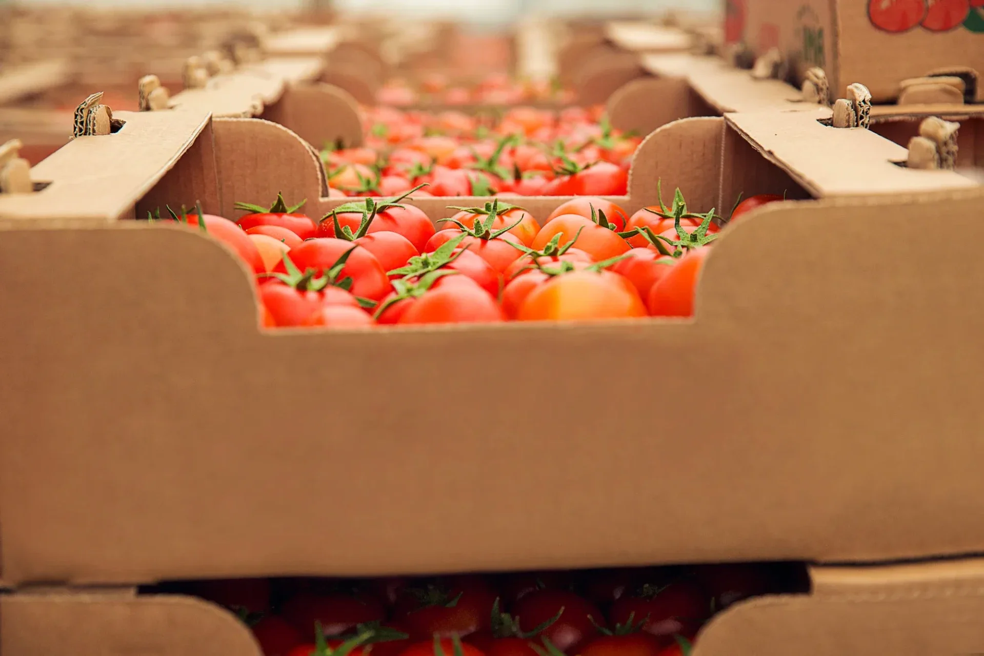 Supply chain transparency in food export — traceability systems and ESG compliance requirements reshaping how European food exporters document and communicate their supply chains