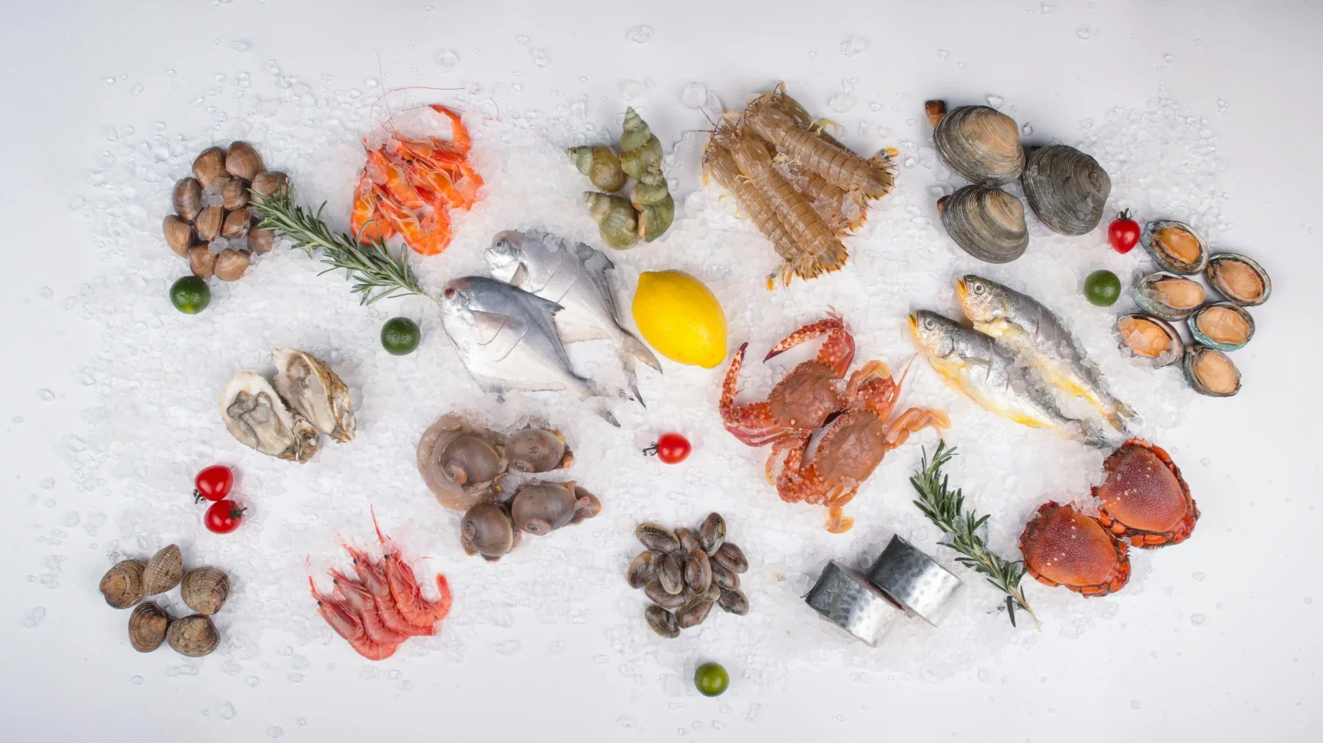 Fish & Meat export — international food trade services by Global Trade Solution