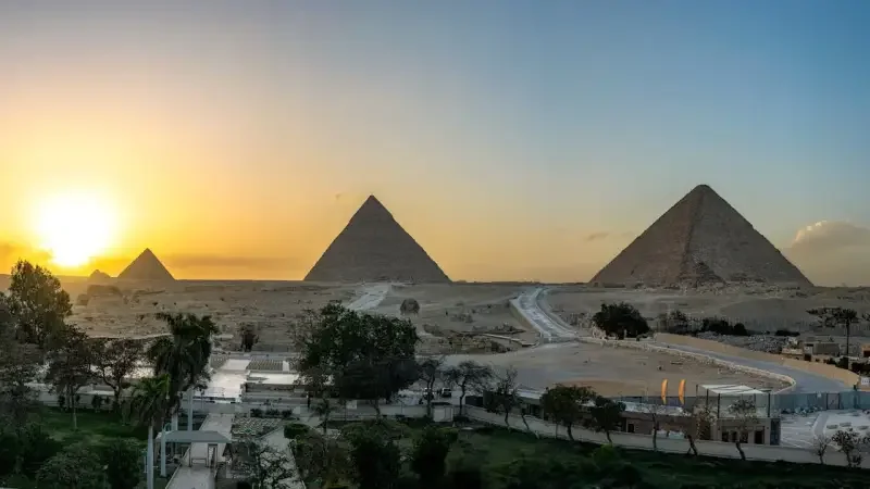 Global Trade Solution regional office in Cairo, Egypt — managing African and Middle Eastern food trade partnerships