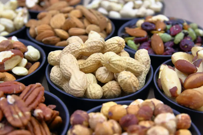 Nuts export — international food trade services by Global Trade Solution
