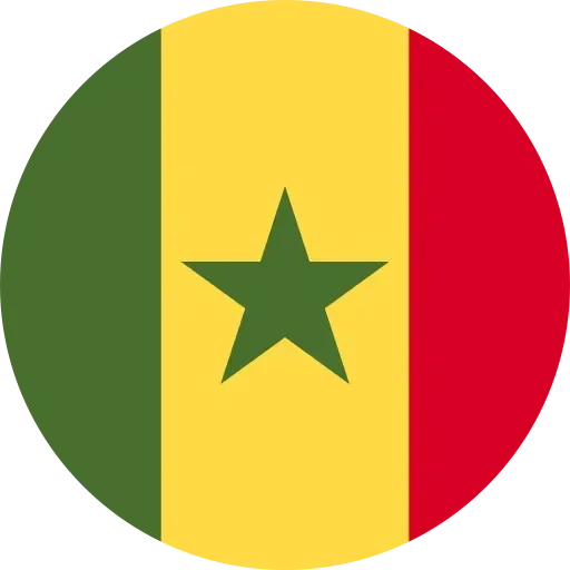 Senegal flag icon