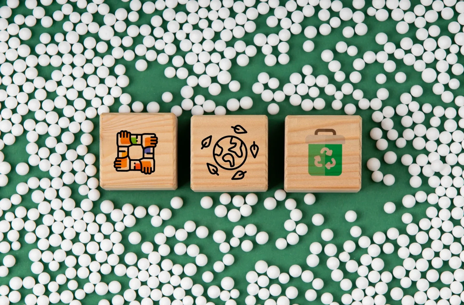 Sustainable food export practices — eco-friendly packaging and responsible supply chain management for international food trade