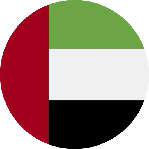 UAE flag icon