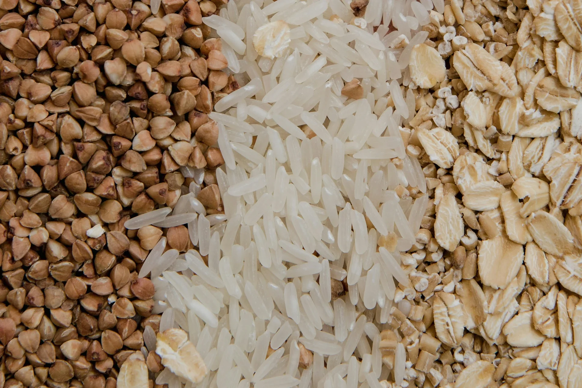 Bulk grain export — wheat, rice and corn ready for international shipment