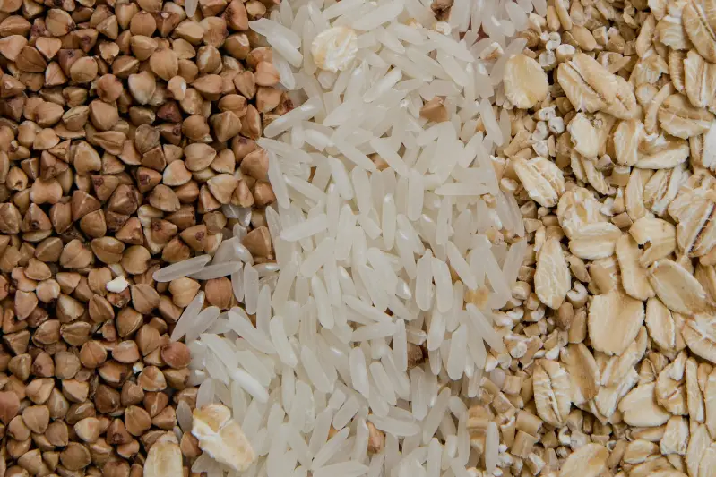 Grains export — international food trade services by Global Trade Solution