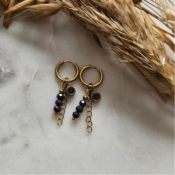 Oorbellen - goud / purple shine
