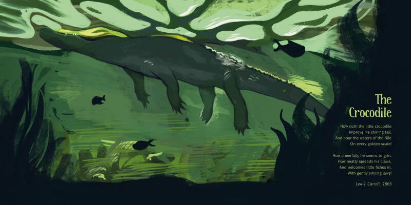 The Crocodile. Illustration made for my graduating book project "A part of something bigger"