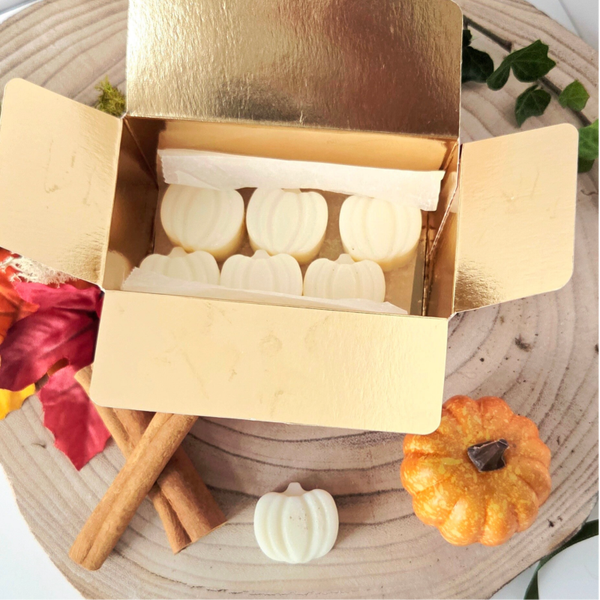 Pumpkin Spice Waxmelts (6 stuks)