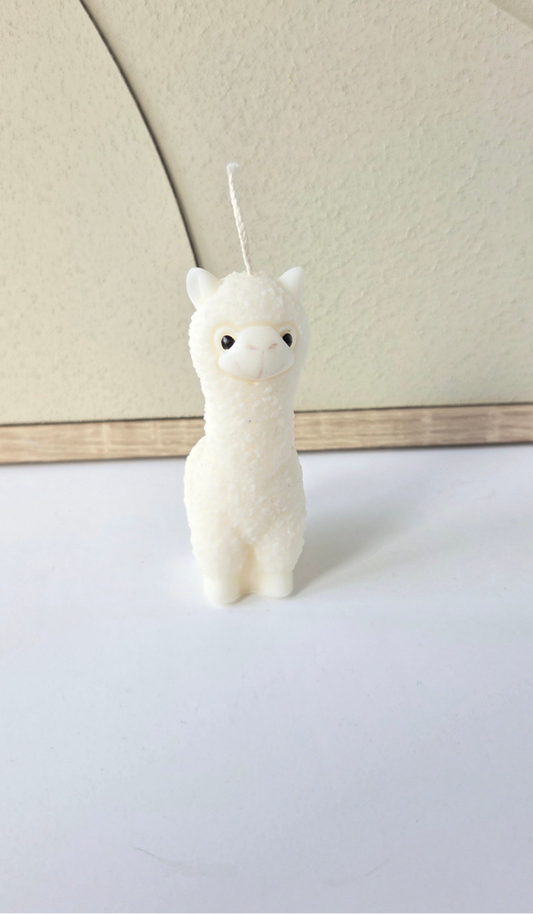 Alpaca