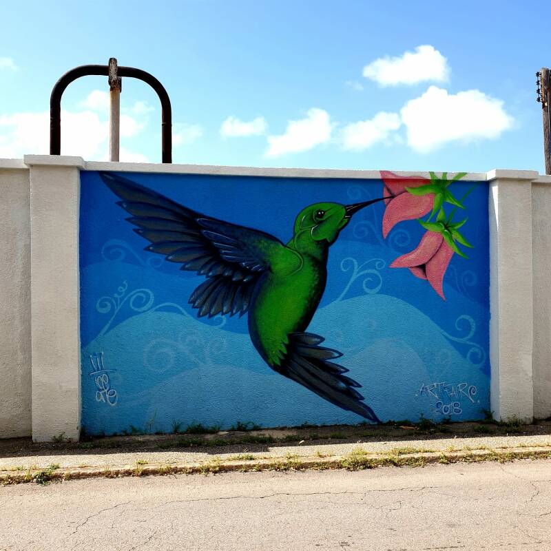 aruba-onehappyisland-kikiaroundtheworld