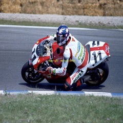 image009-standard-8tdau5.jpg