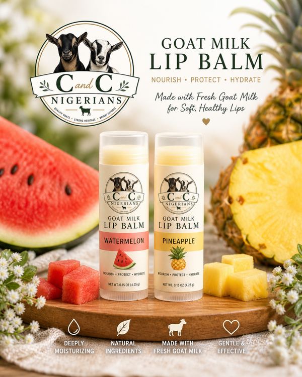 Goat Milk Lip Balm