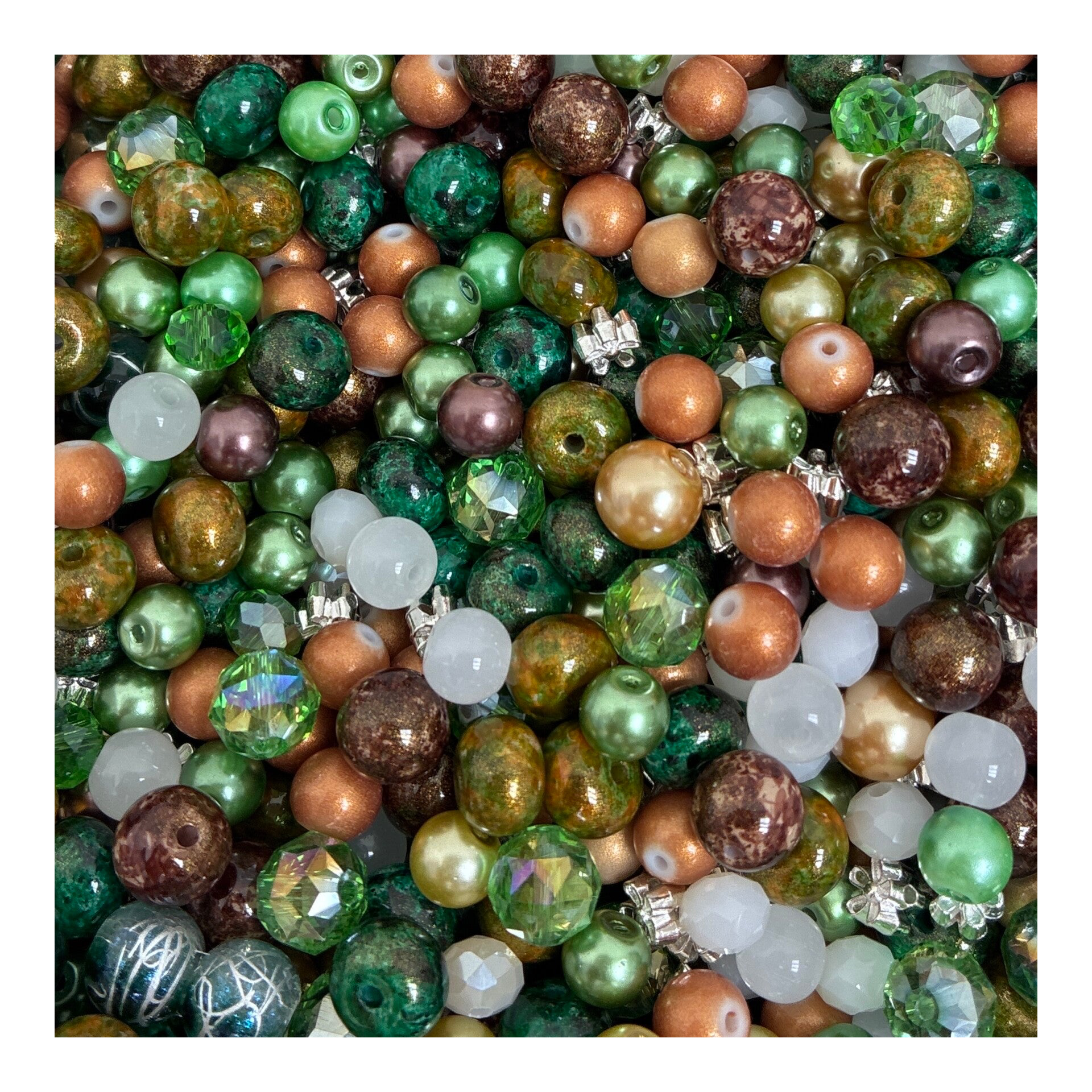 Jardin des Maharajas