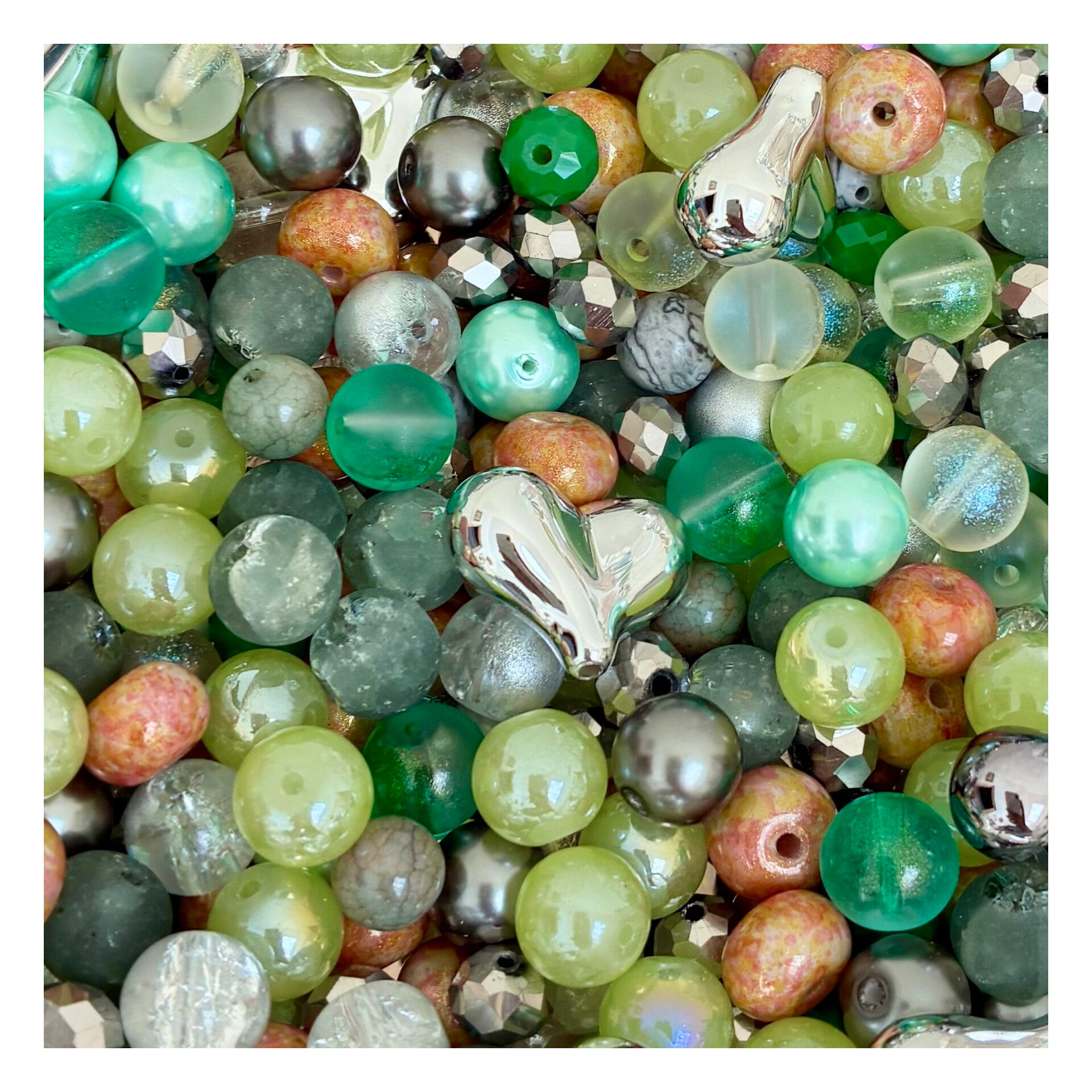 Lichen de Verre