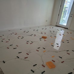 1000000575-standard-pdnp0v.jpg