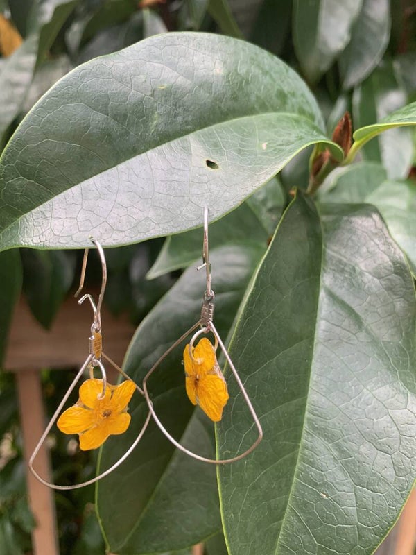 Real Buttercup Flower Earrings