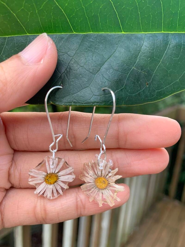 Real Daisy Flower Earrings