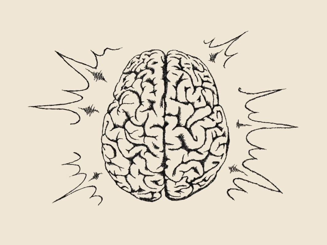 Line drawing of a brain with zig zag lines to indicate activation