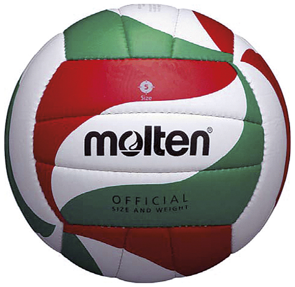Molten volleybal V5M-1800-L
