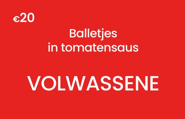 Balletjes in tomatensaus met frietjes - Volwassene