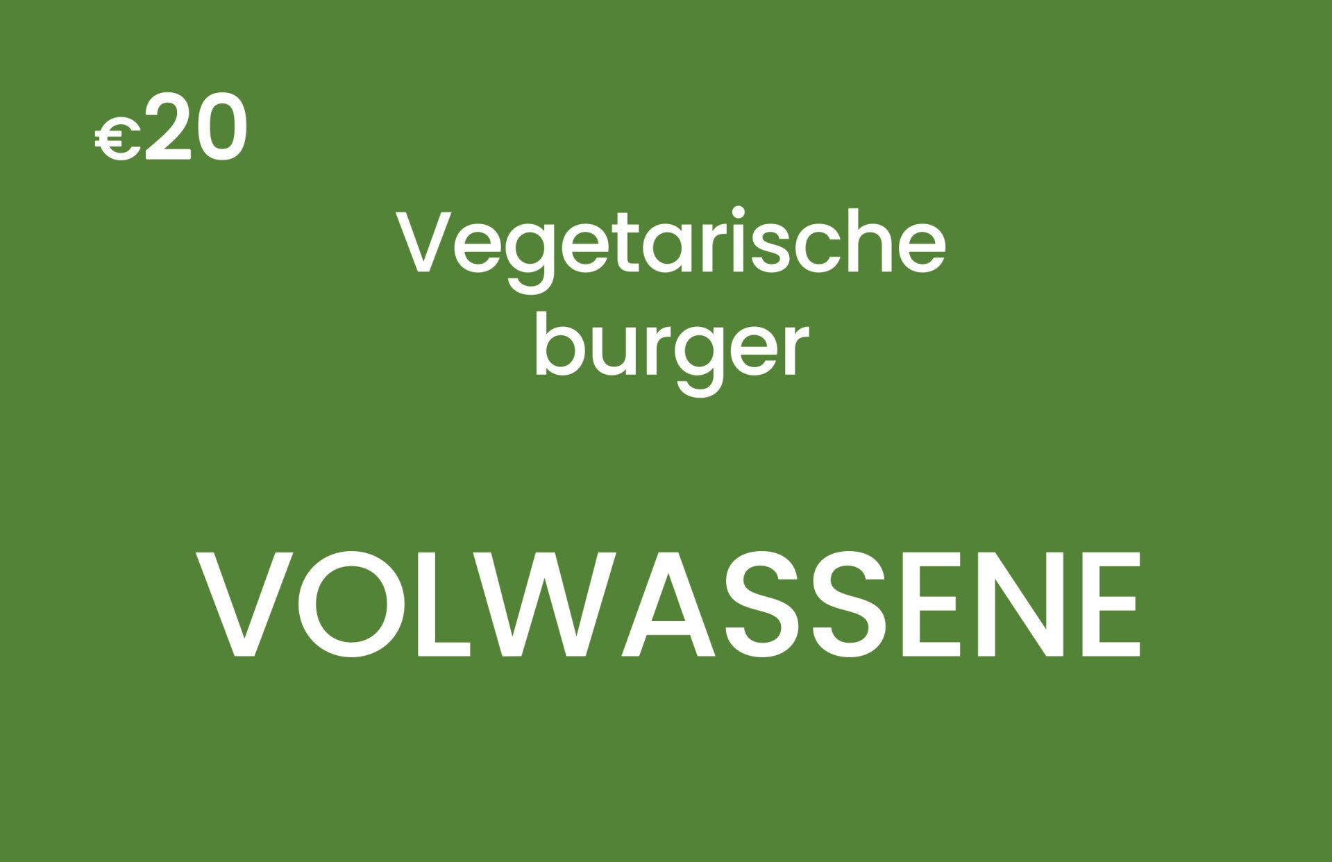Huisbereide vegetarische burger met frietjes en slaatje - Volwassene