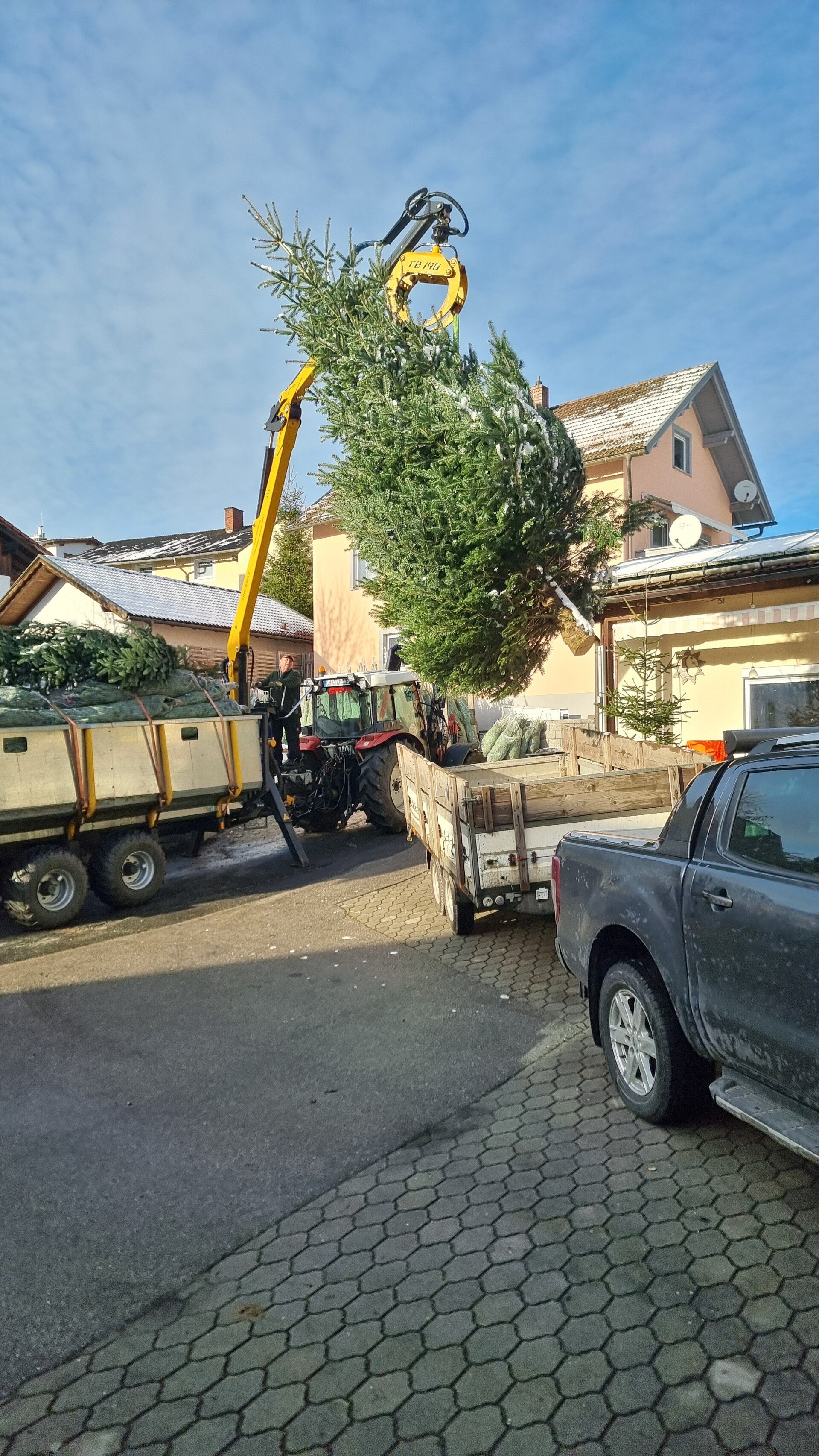 Weihnachtsbaum größer als 3 Meter