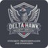 DELTA HAWK SECURITY SERVICES