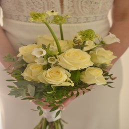 dsc_7765-standard.jpg