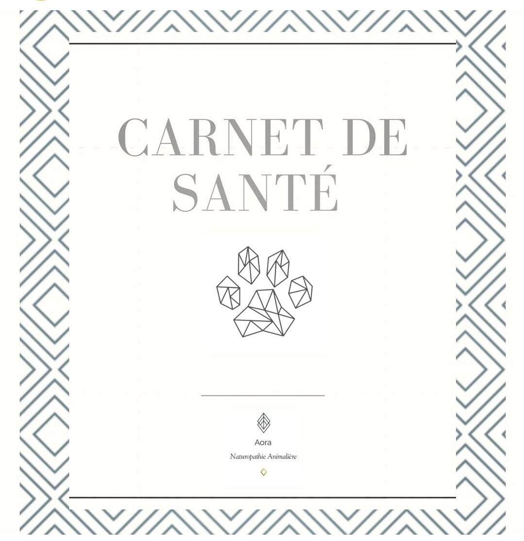 Carnet de santé