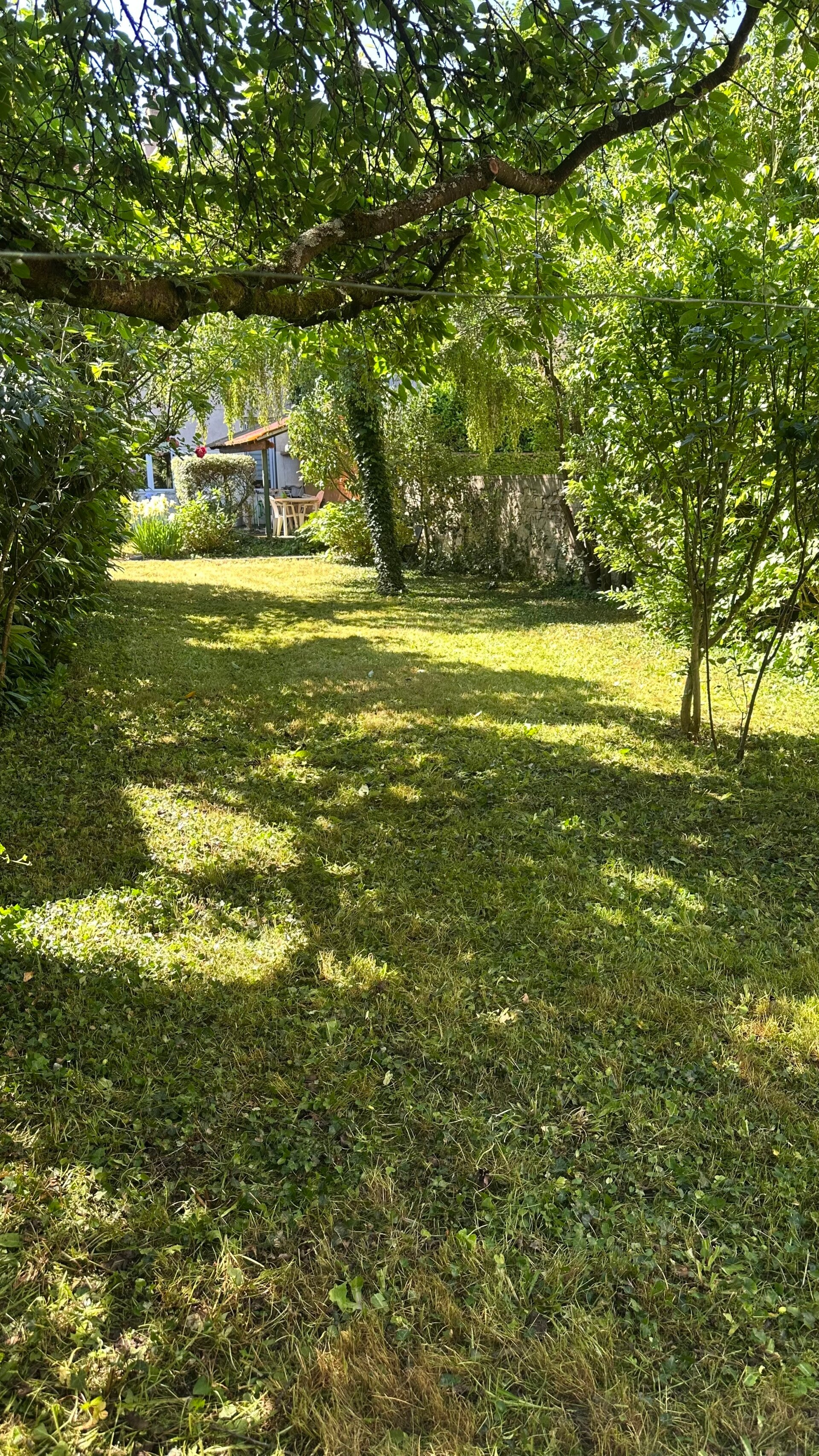 image00006-standard-hvk1q0.jpg