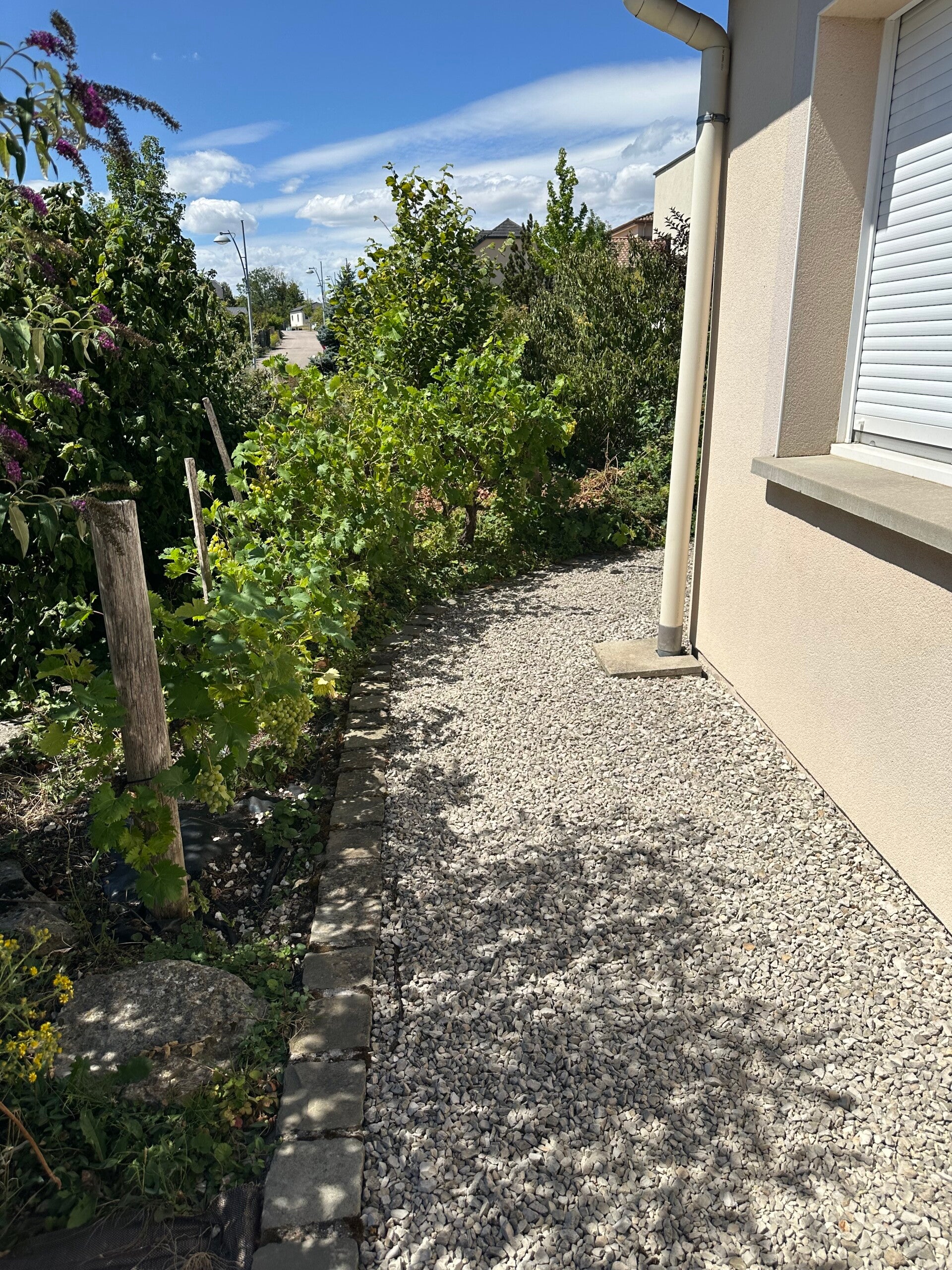 paves-cailloux-devant-standard-5bn9oz.jpg
