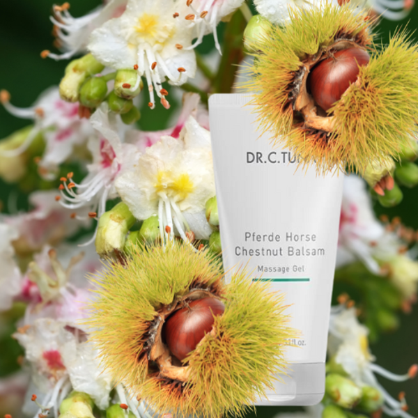 Paardenkastanje massagegel 150 ml