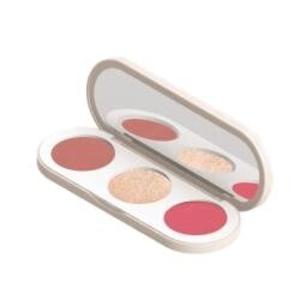 3 in 1 palet - bronzer, blush en highlighter