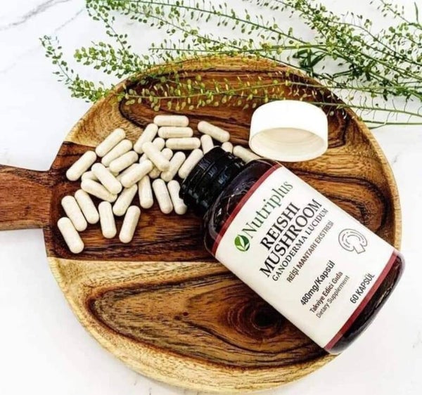 Paddo's REISHI - 60 tabletten - vermoeidheid en uitputting