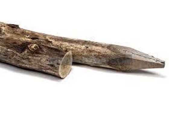 Robinia paal 250cm 10/12