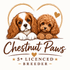 Chestnut Cavapoos