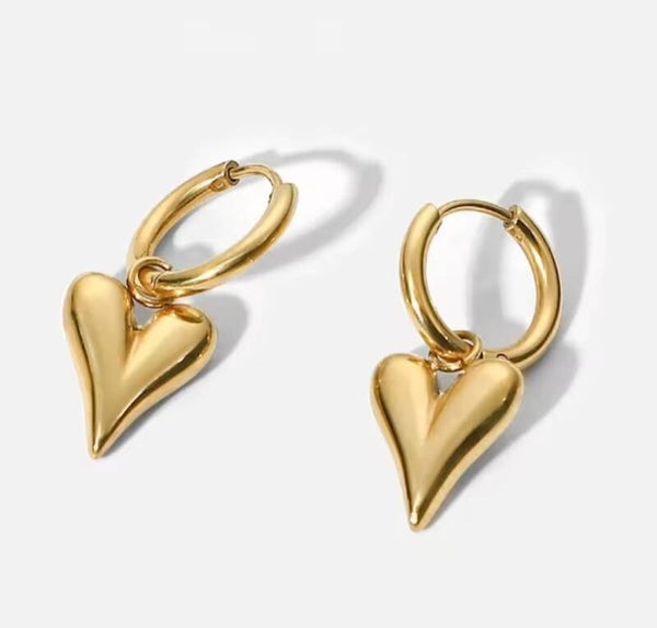 Stainless steel oorbellen hart